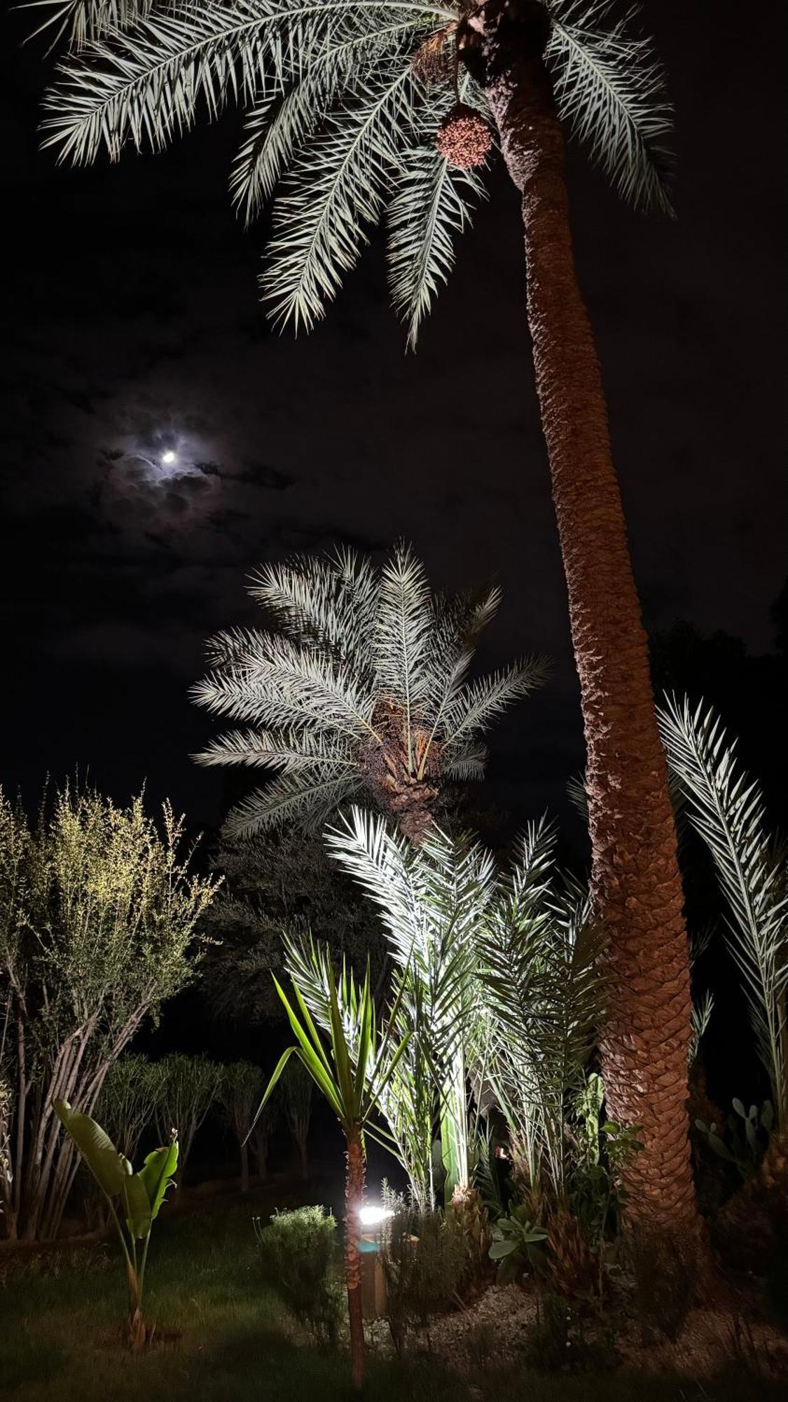 Tres Joli Appart A La Palmeraie Coup De Coeur Marrakesh Exteriör bild