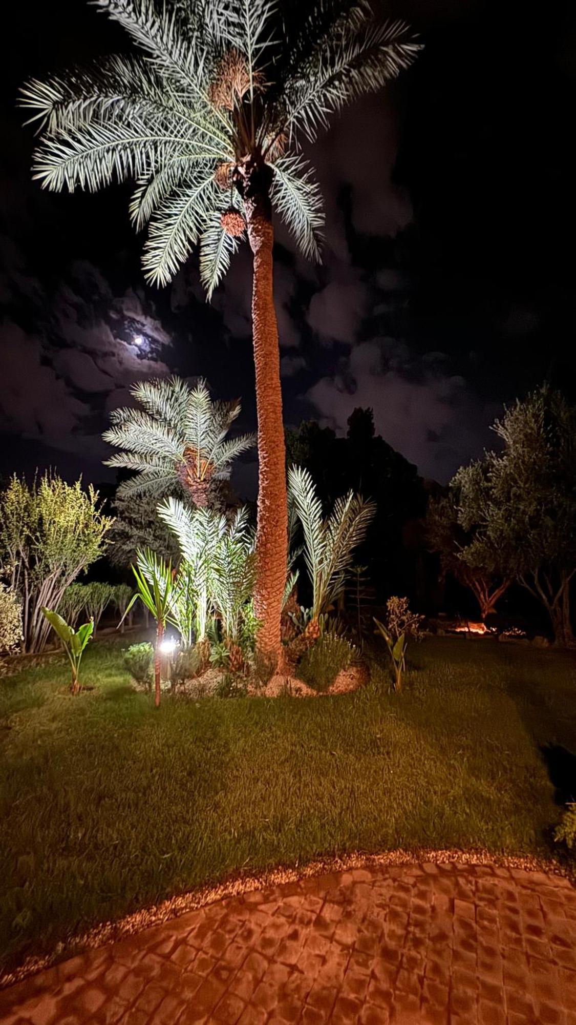 Tres Joli Appart A La Palmeraie Coup De Coeur Marrakesh Exteriör bild