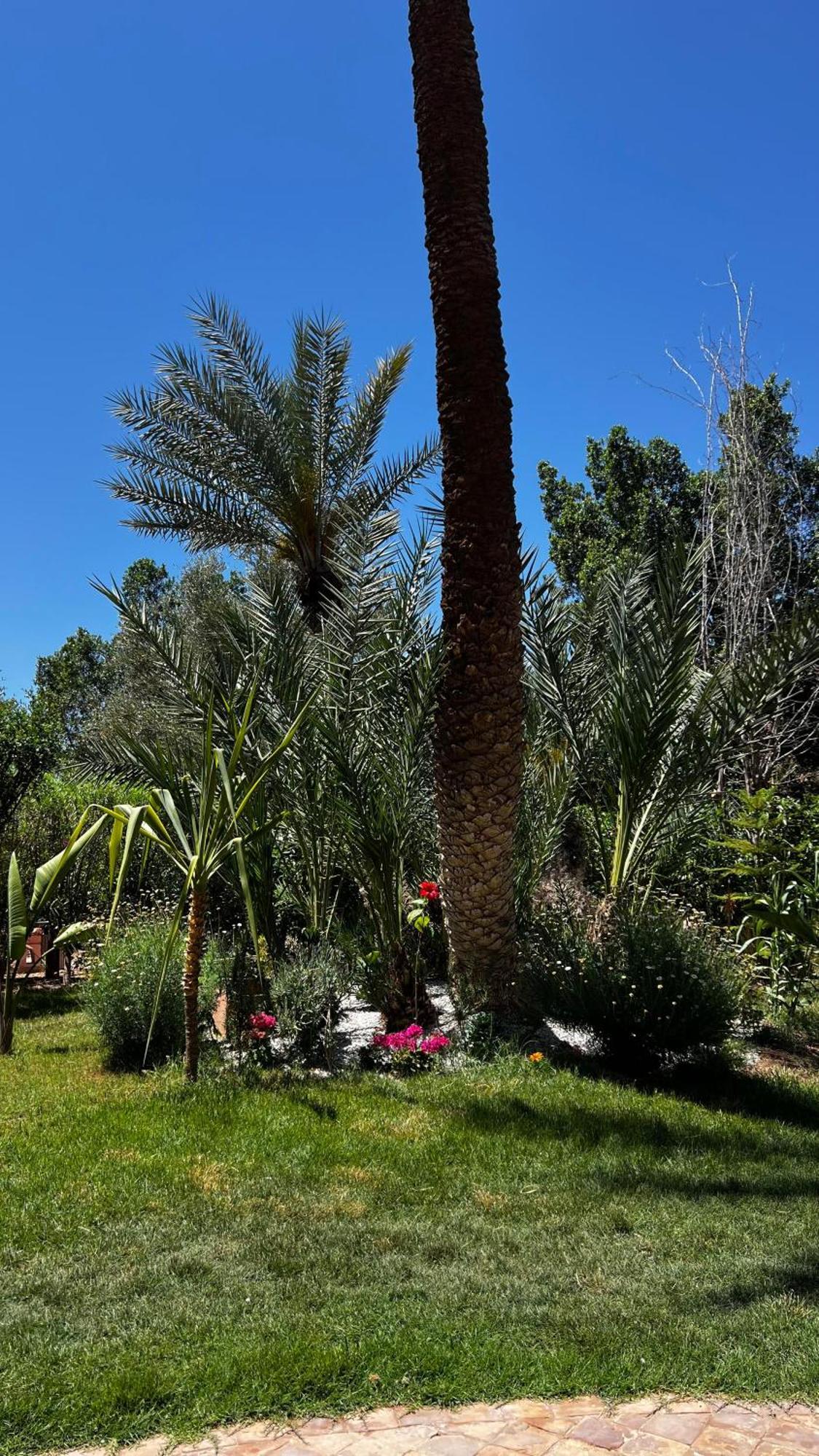 Tres Joli Appart A La Palmeraie Coup De Coeur Marrakesh Exteriör bild